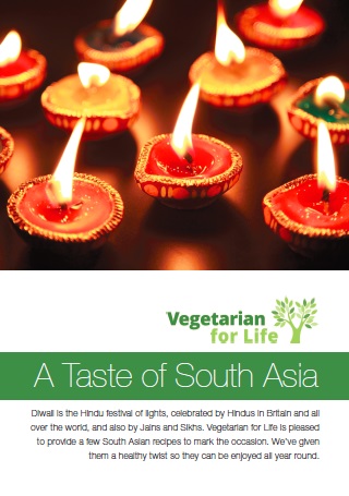 A Taste of South Asia Cover Cover of the A Taste of South Asia guide