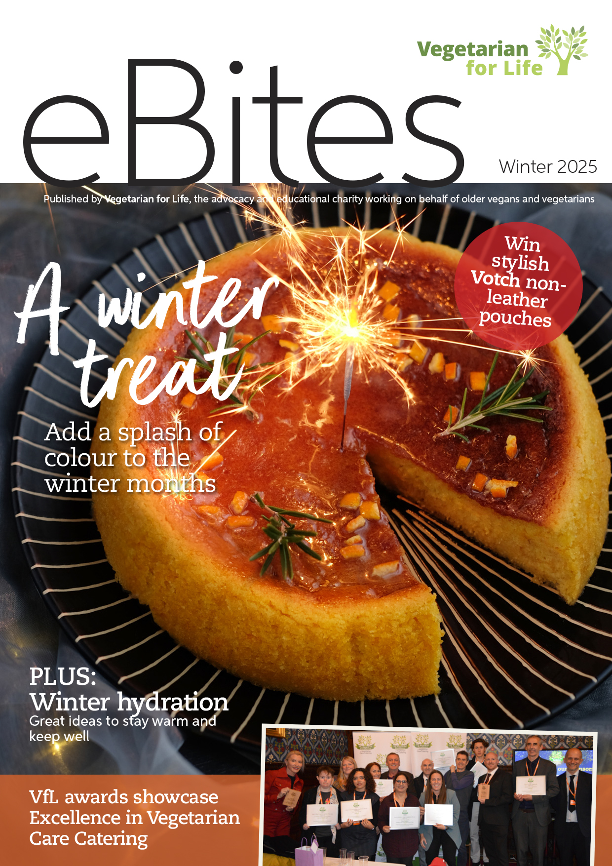 Cover of eBites issue 22