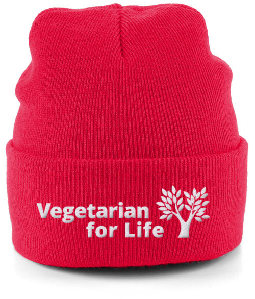 V for Life Beanie